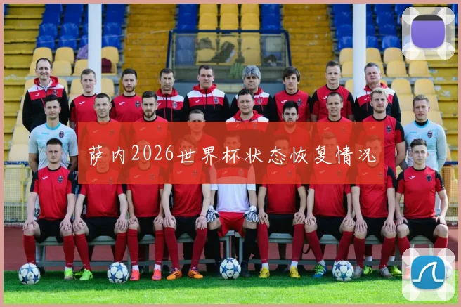 萨内2026世界杯状态恢复情况