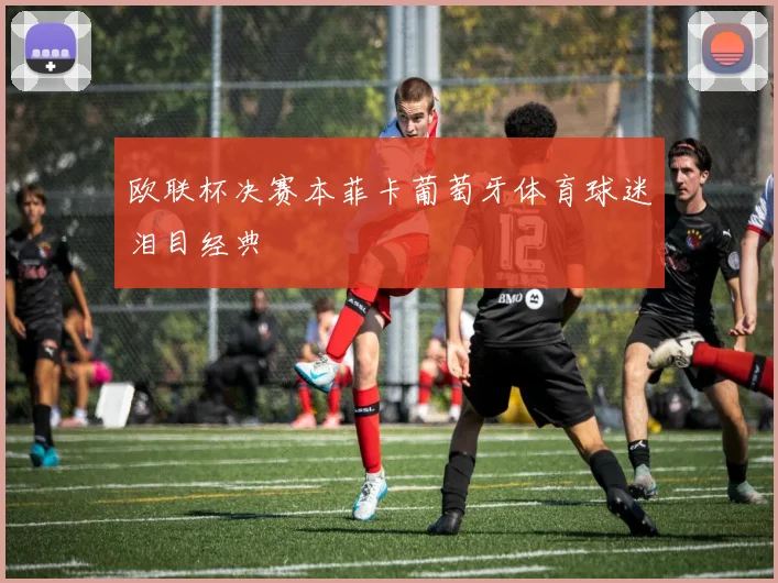 欧联杯决赛本菲卡葡萄牙体育球迷泪目经典
