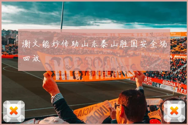 谢文能妙传助山东泰山胜国安全场回放