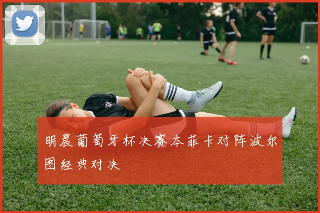 明晨葡萄牙杯决赛本菲卡对阵波尔图经典对决